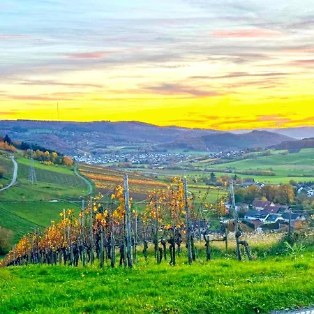 Gemuetliche In An Der Mosel Apartamento